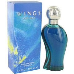 Hajuvesi Giorgio Beverly Hills Wings EDT miehille, 30 ml hinta ja tiedot | Miesten hajuvedet | hobbyhall.fi