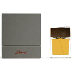 Aigner Parfums Aigner pour Homme EDT, 100ml hinta ja tiedot | Miesten hajuvedet | hobbyhall.fi