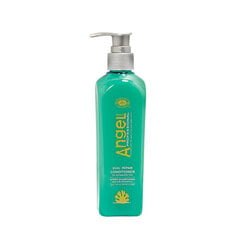 Hoitoaine vaurioituneille hiuksille Angel Dual Repair Conditioner 250ml hinta ja tiedot | Hoitoaineet | hobbyhall.fi