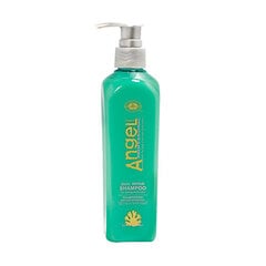 Shampoo vaurioituneille, kuiville hiuksille Angel Dual Repair Shampoo 500ml hinta ja tiedot | Shampoot | hobbyhall.fi