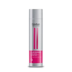 Hoitoaine värjätyille hiuksille Kadus Professional Color Radiance Conditioner 250 ml hinta ja tiedot | Hoitoaineet | hobbyhall.fi