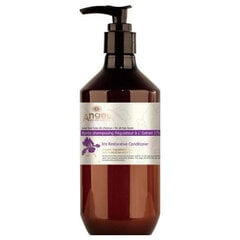 Korjaava hoitoaine Angel Iris Restorative Conditioner 400ml hinta ja tiedot | Hoitoaineet | hobbyhall.fi