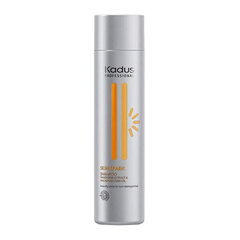 Auringon jälkeinen shampoo Kadus Professional Sun Spark Shampoo 250ml hinta ja tiedot | Shampoot | hobbyhall.fi