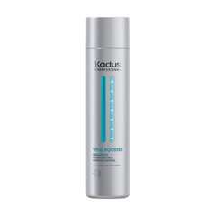 Hiusten kasvua stimuloiva shampoo Kadus Professional Vital Booster Shampoo 250 ml hinta ja tiedot | Shampoot | hobbyhall.fi