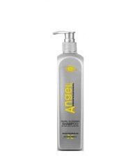 Shampoo, joka antaa hopean sävyn hiuksille Angel Pearl Glossing Shampoo 250 ml hinta ja tiedot | Dancoly Hajuvedet ja kosmetiikka | hobbyhall.fi