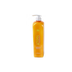 Shampoo kuiville ja normaaleille hiuksille Angel Marine Depth SPA Shampoo Dry Neutral 250 ml hinta ja tiedot | Shampoot | hobbyhall.fi