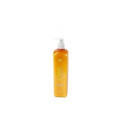 Shampoo kuiville ja normaaleille hiuksille Angel Marine Depth SPA Shampoo Kuiville neutraaleille hiuksille 100 ml hinta ja tiedot | Shampoot | hobbyhall.fi