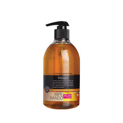 Aromaattinen käsisaippua mangoilla Farcom Arlem Ripe Mango Hand Soup 500ml hinta ja tiedot | Farcom Professional Hajuvedet ja kosmetiikka | hobbyhall.fi