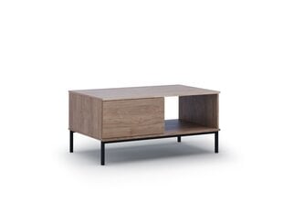 Sohvapöytä BSL Concept Query, 100x60x47 cm, ruskea hinta ja tiedot | Sohvapöydät | hobbyhall.fi