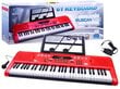 Lasten piano, jossa mikrofoni ja 61 näppäintä SD-6118, punainen hinta ja tiedot | Kehittävät lelut | hobbyhall.fi