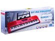 Lasten piano, jossa mikrofoni ja 61 näppäintä SD-6118, punainen hinta ja tiedot | Kehittävät lelut | hobbyhall.fi