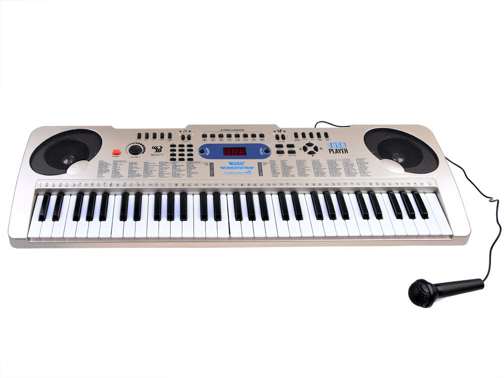 Lasten piano SD-6111A mikrofonilla ja 61 näppäimellä, harmaa, harmaa hinta ja tiedot | Kehittävät lelut | hobbyhall.fi