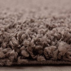 Ayyildiz pyöreä matto Shaggy Dream Taupe, 120x120 cm hinta ja tiedot | Isot matot | hobbyhall.fi