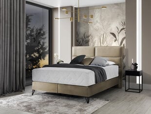 Sänky NORE Safiro, 140 x 200 cm, beige hinta ja tiedot | Sängyt | hobbyhall.fi