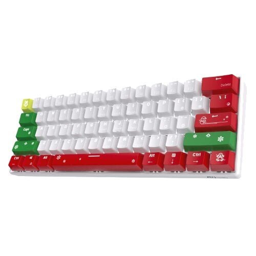 Royal Kludge RK61 TKL Blue Switches hinta ja tiedot | Näppäimistöt | hobbyhall.fi