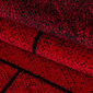 Matto Ayyildiz Beta punainen 1110, 200x290 cm hinta ja tiedot | Isot matot | hobbyhall.fi