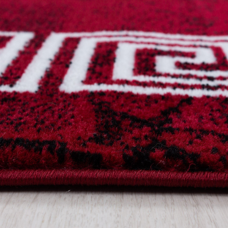 Matto Ayyildiz Plus punainen 8009, 80x150 cm hinta ja tiedot | Isot matot | hobbyhall.fi