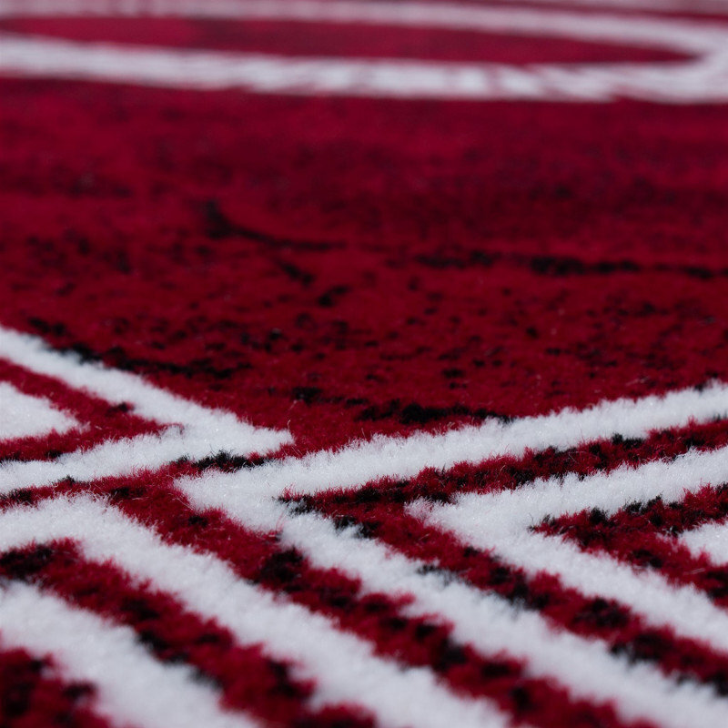 Matto Ayyildiz Plus punainen 8009, 160x230 cm hinta ja tiedot | Isot matot | hobbyhall.fi