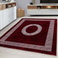 Ayyildiz matto Plus punainen 8009, 200x290 cm hinta ja tiedot | Isot matot | hobbyhall.fi