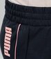 Puma naisten shortsit 847110*51, musta/roosa hinta ja tiedot | Naisten shortsit | hobbyhall.fi