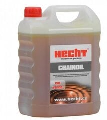 Hecht 2T öljy kaksitahtimoottorille, 4L hinta ja tiedot | Hecht Autotuotteet | hobbyhall.fi