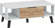 Pöytä Sven, 46 x 120 x 65 cm, valkoinen/ruskea hinta ja tiedot | Sohvapöydät | hobbyhall.fi