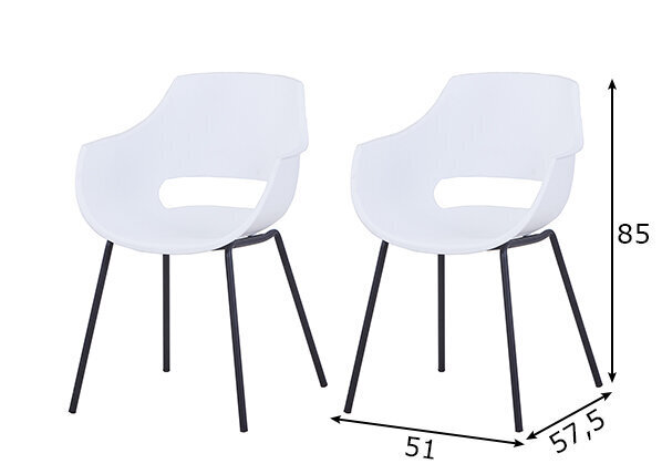 2 ruokapöydän tuolin setti Sit, valkoinen hinta ja tiedot | Ruokapöydän tuolit | hobbyhall.fi
