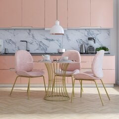 Ruokapöydän tuoli CosmoLiving by Cosmopolitan Astor, vaaleanpunainen hinta ja tiedot | Ruokapöydän tuolit | hobbyhall.fi