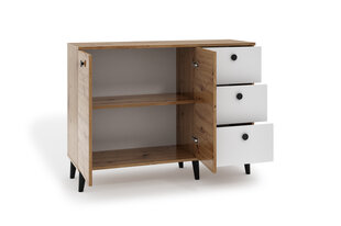 Lipasto ADRK Furniture CLE02, ruskea/valkoinen hinta ja tiedot | Lipastot | hobbyhall.fi