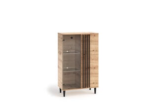 Vitriini ADRK Furniture LIV02, ruskea hinta ja tiedot | Vitriinit | hobbyhall.fi