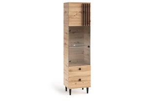 Vitriini ADRK Furniture LIV05, ruskea hinta ja tiedot | Vitriinit | hobbyhall.fi
