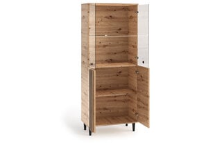Vitriini ADRK Furniture LIV06, ruskea hinta ja tiedot | Vitriinit | hobbyhall.fi