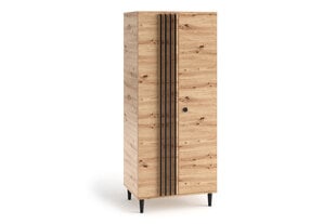 Kaappi ADRK Furniture LIV10, ruskea hinta ja tiedot | Kaapit | hobbyhall.fi