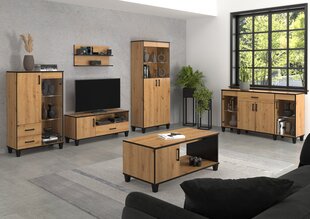 Vitriini ADRK Furniture POL05, ruskea hinta ja tiedot | Vitriinit | hobbyhall.fi