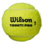Ulkotennispallot Wilson Triniti Pro, 4 kpl hinta ja tiedot | Tennisvälineet | hobbyhall.fi