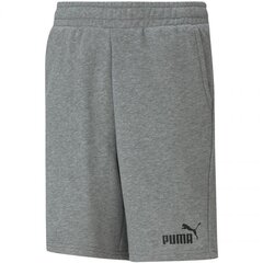 Puma Essentials lasten shortsit 586972*03, harmaa hinta ja tiedot | Poikien shortsit | hobbyhall.fi