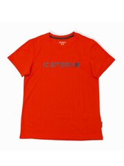 Icepeak T-paita Kemberg Jr 51724-9*642, punainen/harmaa 122/ hinta ja tiedot | Poikien paidat | hobbyhall.fi