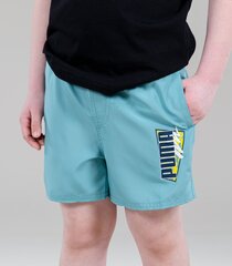 Puma lasten shortsit ESS+ 847325*50, minttu hinta ja tiedot | Poikien shortsit | hobbyhall.fi