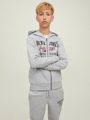 Jack & Jones lasten pusero 12218049*01, vaalea harmaa hinta ja tiedot | Poikien puserot, liivit ja jakut | hobbyhall.fi