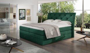 NORE Mirabel 09 -sänkypaketti, 180 x 200 cm, vihreä hinta ja tiedot | Sängyt | hobbyhall.fi