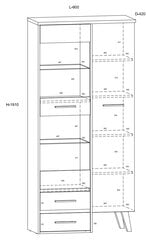 Vitriinikaappi Meblocross Nordis 1D2S, tammi/valkoinen hinta ja tiedot | Vitriinit | hobbyhall.fi