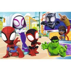 24. toukokuuta palapeli Spidey ja ystävät Spider-Man hinta ja tiedot | Palapelit | hobbyhall.fi