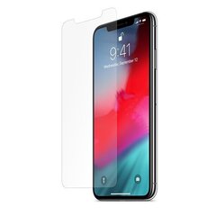 Apple iPhone XS Max näytönsuoja Nexeri Blue Line hinta ja tiedot | Näytönsuojakalvot ja -lasit | hobbyhall.fi