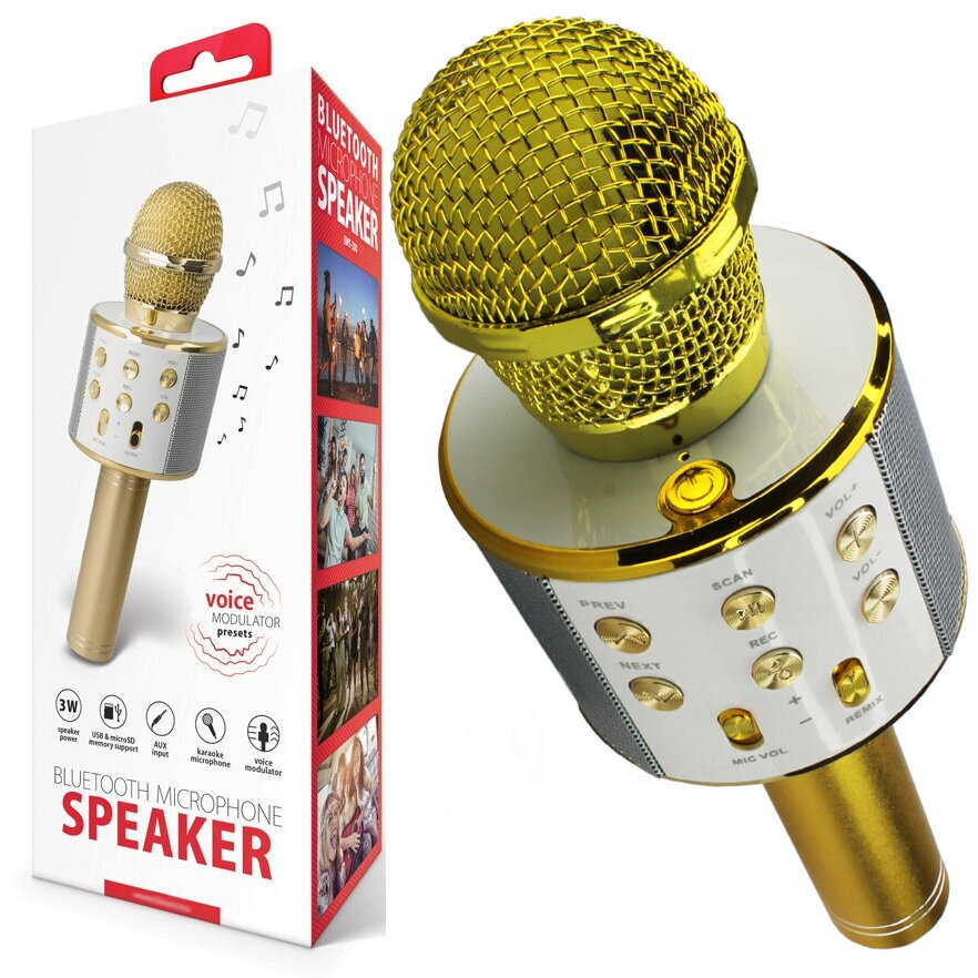 Karaoke-mikrofoni kaikuominaisuudella, Bluetooth hinta ja tiedot | Kehittävät lelut | hobbyhall.fi