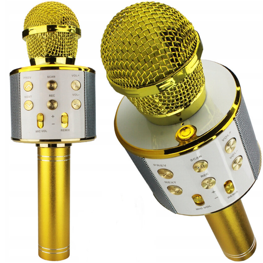 Karaoke-mikrofoni kaikuominaisuudella, Bluetooth hinta ja tiedot | Kehittävät lelut | hobbyhall.fi