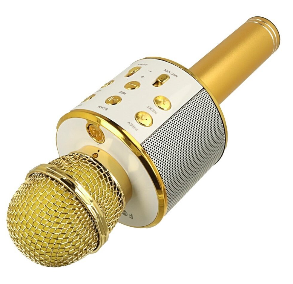 Karaoke-mikrofoni kaikuominaisuudella, Bluetooth hinta ja tiedot | Kehittävät lelut | hobbyhall.fi