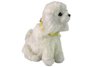 Vuorovaikutteinen pehmokoira "Poodle", valkoinen hinta ja tiedot | Pehmolelut | hobbyhall.fi