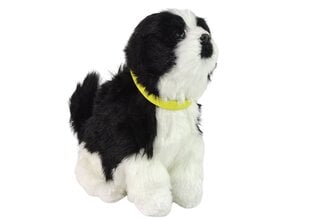 Vuorovaikutteinen pehmokoira ,,Border collie'', valkoinen/musta hinta ja tiedot | Pehmolelut | hobbyhall.fi