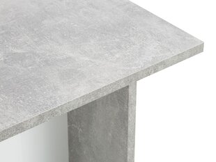 BSL Concept Elina sohvapöytä, 100x60x55 cm, harmaa hinta ja tiedot | BSL Concept Olohuoneen kalusteet | hobbyhall.fi