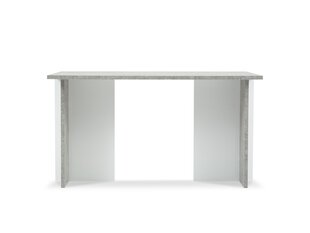 BSL Concept Elina sohvapöytä, 100x60x55 cm, harmaa hinta ja tiedot | Sohvapöydät | hobbyhall.fi